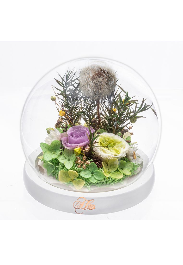 Her Rose Dandelion Love Music (Purple + White)