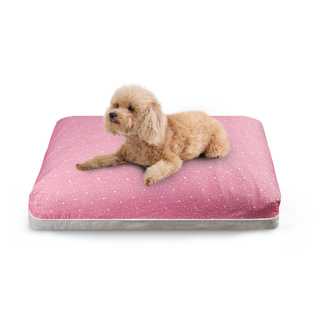 DreamCastle Cooling Dog Bed for puppies to medium sized breed - Little Star