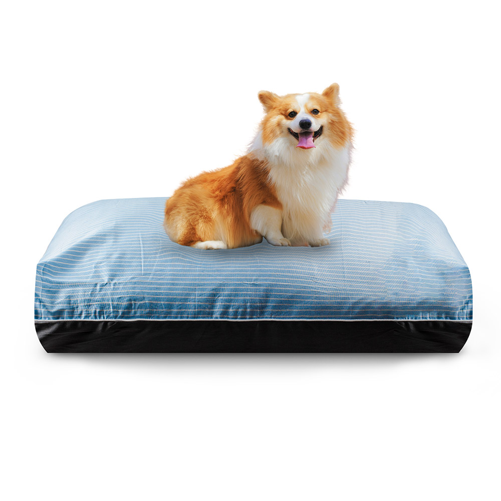 DreamCastle Cooling Dog Bed for puppies to medium sized breed - Sky