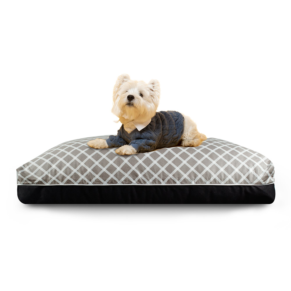 DreamCastle Cooling Dog Bed for puppies to medium sized breed - Rain