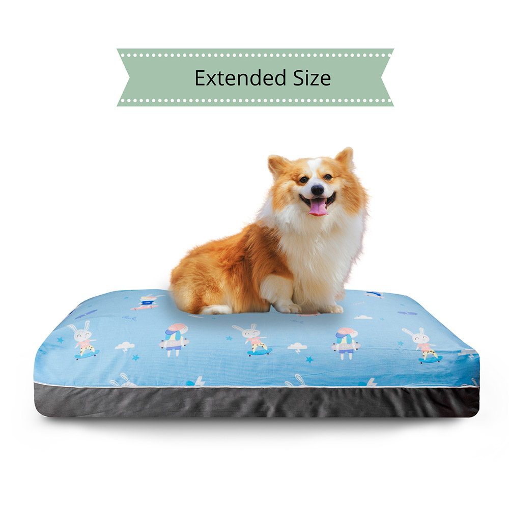 DreamCastle Cooling Dog Bed for puppies to medium sized breed - Rabbit (Extended size)