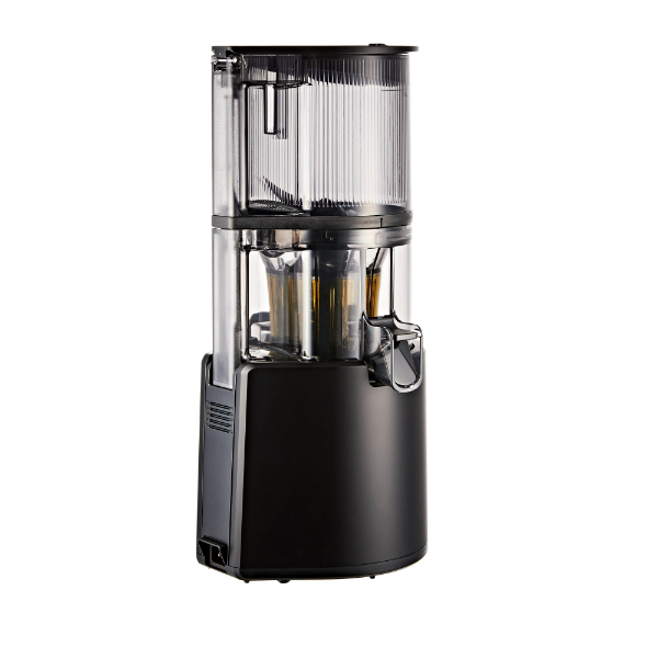 Hurom Slow Juicer H300 Easy Series Cold Press Fruits Vegetables Slow Juicer (Juice Extractor)