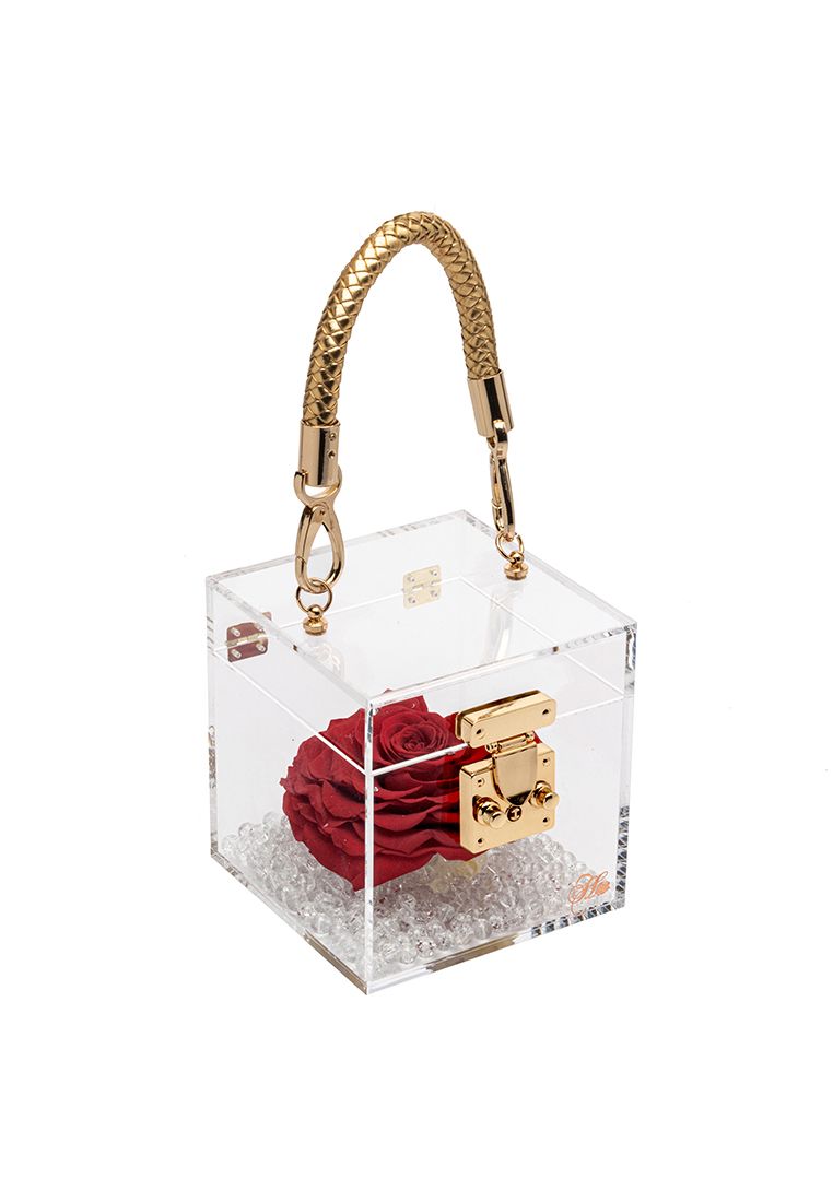 Her Rose Love Treasure (Red + Crystal Case)