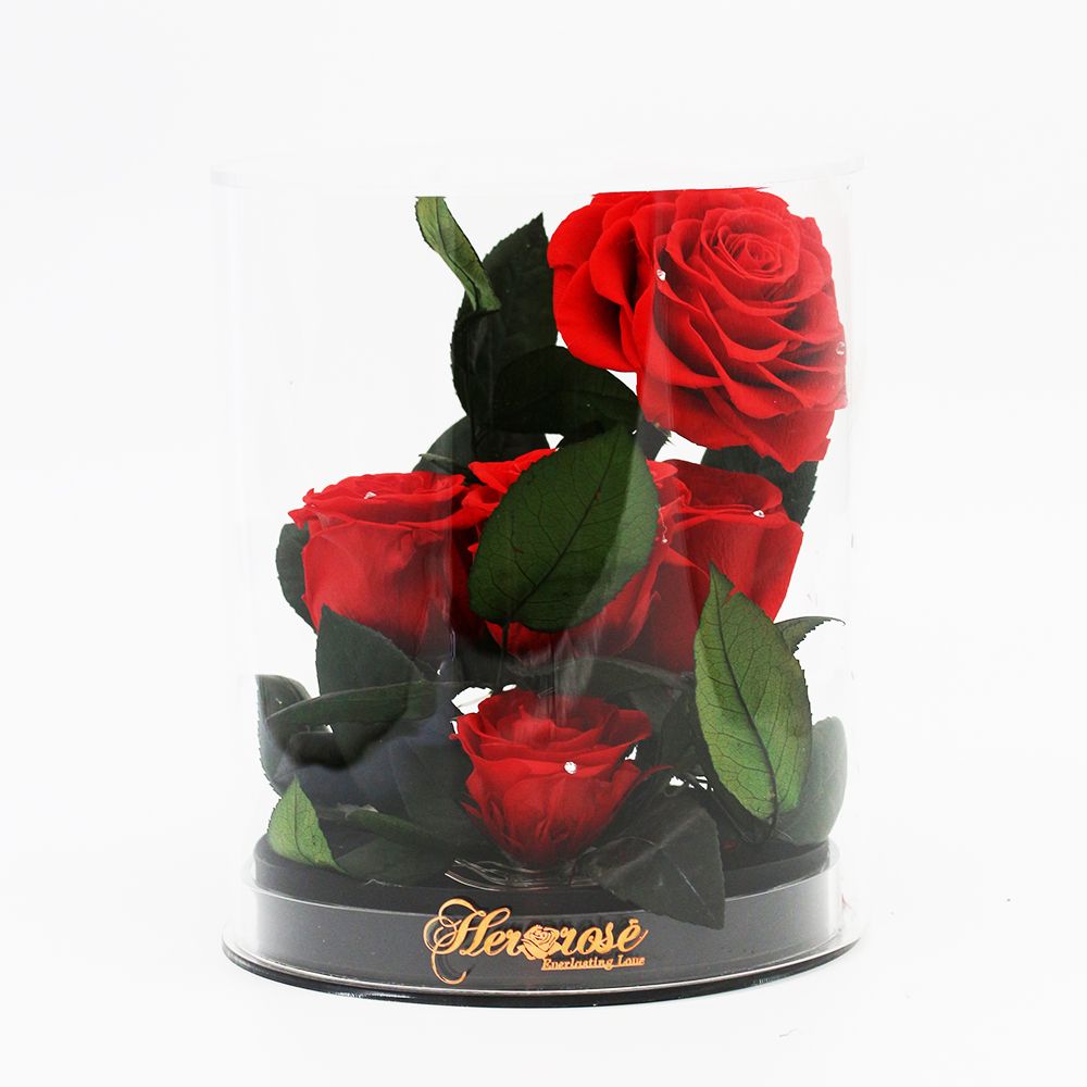 Her Rose Romance Love (Black leather Red Rose)