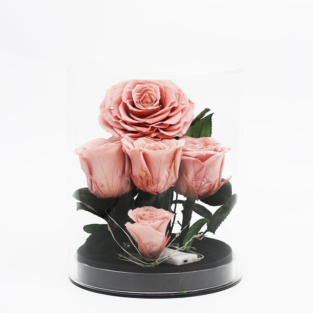 Her Rose Romance Love (Pink Leather Pink Rose)