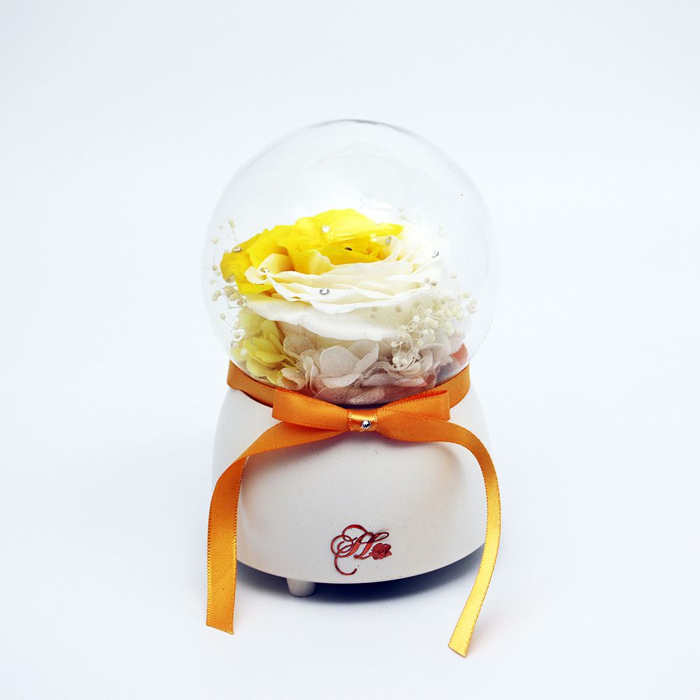 Her Rose Only Love Music Globe (Yellow White + White)